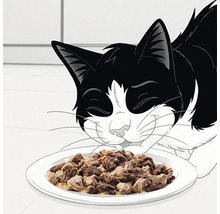 Hrană umedă pentru pisici PURINA Felix Fantastic cu somon în aspic 85 g-thumb-3