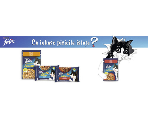 Produse hrană pentru pisici Felix Sensations în jeleu