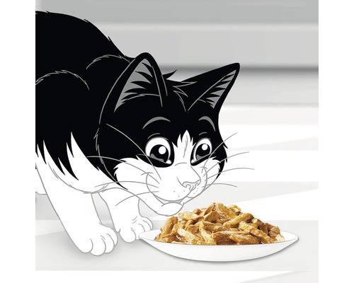 Ilustrație cu o pisică în fața unei farfurii cu mâncare pentru pisici