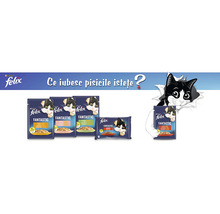 Hrană umedă pentru pisici PURINA Felix Fantastic cu pui/vită/iepure/miel în aspic 12x85g-thumb-5