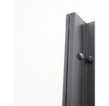 Ușă duș culisantă Sanotechnik Elite Black 98-102x195 cm sticlă transparentă profil negru mat-thumb-2