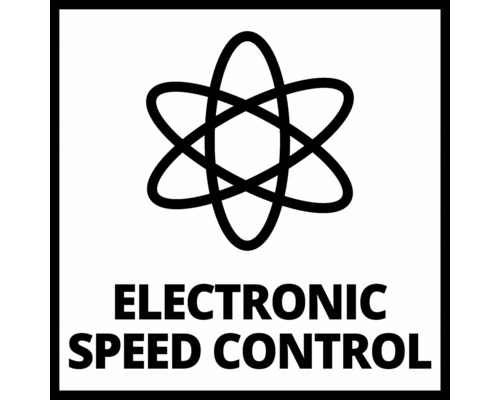 Control electronic al vitezei