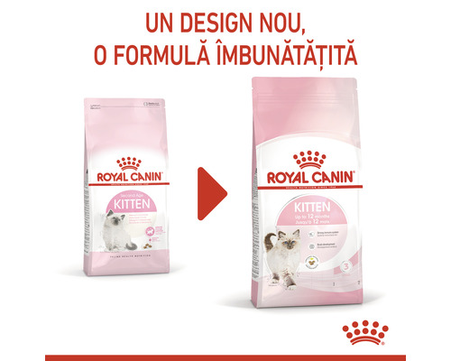 Hrană pentru pisici Royal Canin Kitten, design nou și formulă îmbunătățită