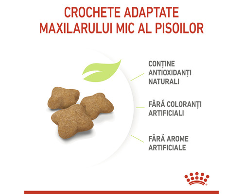Hrană pentru pisici pentru guri mici de pisică