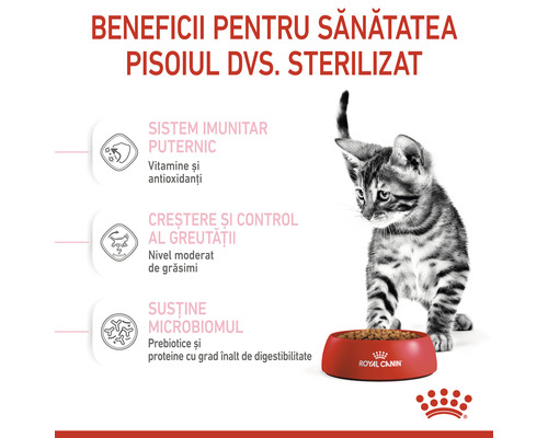 Hrană pentru pisici Royal Canin pentru pisoi sterilizați cu pisică și castron pentru hrană