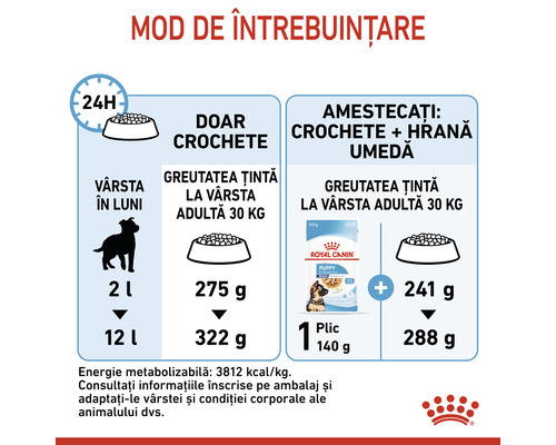 Recomandare de hrănire pentru mâncare pentru câini
