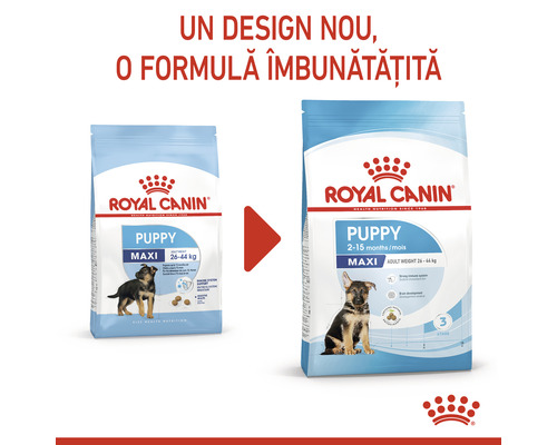 Comparație hrană pentru câini Royal Canin Maxi Puppy între ambalajul vechi și cel nou