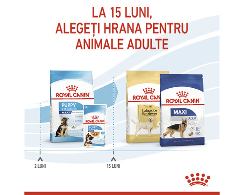 Hrană pentru câini Royal Canin pentru căței și câini adulți