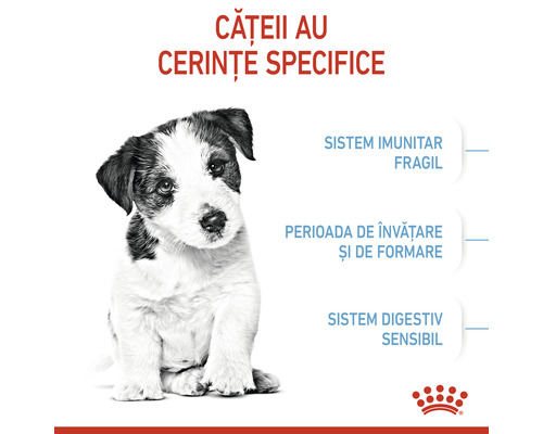 Imagine cu un cățel care simbolizează nevoile nutriționale specifice ale acestuia.