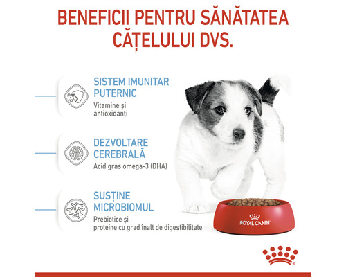 Cățel lângă castron roșu cu hrană pentru câini de la Royal Canin