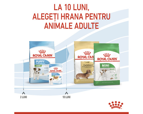 Hrană uscată pentru câini Royal Canin pentru căței și câini adulți