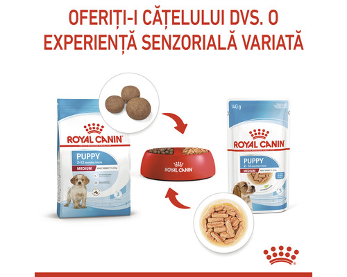 Hrană uscată și umedă Royal Canin pentru căței de rase medii într-un castron