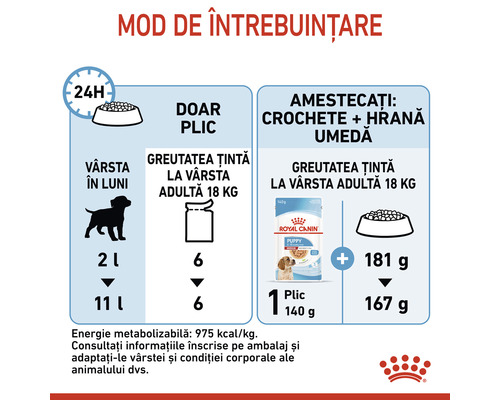 Recomandări de hrănire pentru căței: vârsta în luni, cantitatea de hrană