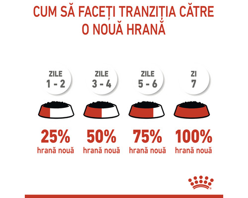 Diagramă de tranziție către o hrană nouă pentru câini.