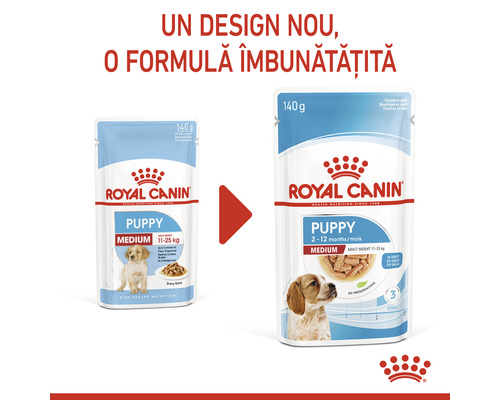 Royal Canin hrană pentru căței de talie medie, formulă nouă