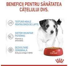 Hrană umedă pentru câini Royal Canin Mini Puppy 85 g-thumb-3
