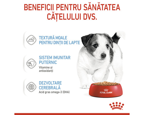 Mâncare pentru căței cu beneficii pentru sănătatea câinelui dumneavoastră