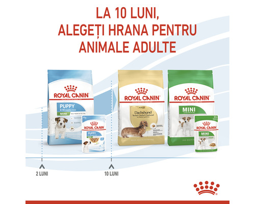 Mâncare pentru câini Royal Canin pentru căței și câini adulți