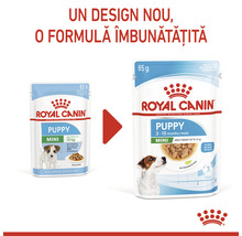 Hrană umedă pentru câini Royal Canin Mini Puppy 85 g-thumb-9