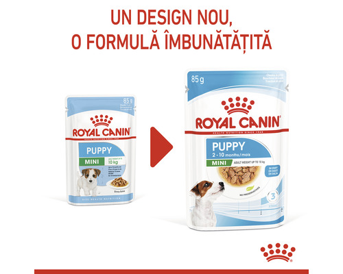 Hrană pentru căței de rase mici Royal Canin, formulă îmbunătățită