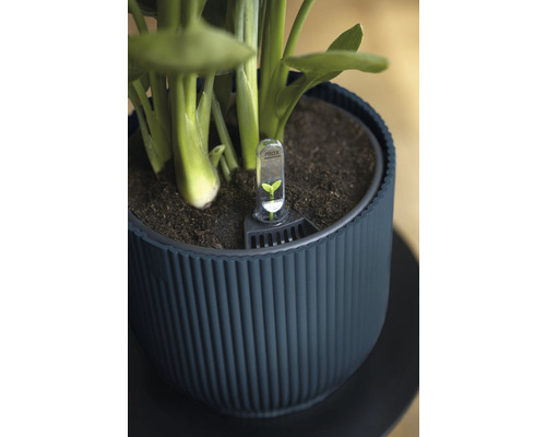 Ghiveci cu higrometru pentru îngrijirea plantelor