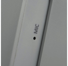 Intrare microfon