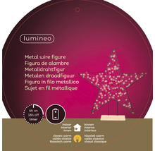 Figurină luminoasă Stea 150 LED-uri alb cald-thumb-5 Figurină luminoasă Stea 150 LED-uri alb cald-thumb-5