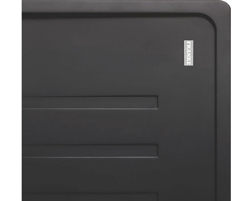 Logo Franke pe o chiuvetă de bucătărie neagră