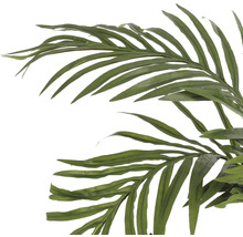 Palmier artificial, Areca, înălțime 150 cm, verde-thumb-2