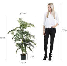 Palmier artificial, Areca, înălțime 150 cm, verde-thumb-4