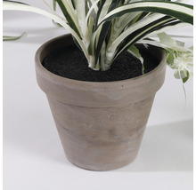 Plantă artificială, Chlorophytum, verde-thumb-3