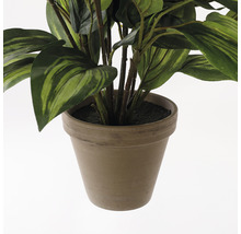 Plantă artificială, crin de toamnă, verde-thumb-2