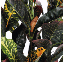 Plantă artificială, Croton, gri-thumb-3