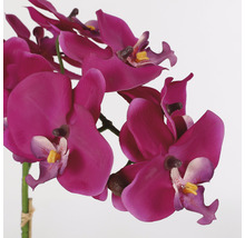 Floare artificială, orhidee, 60 cm, violet-thumb-2