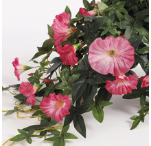 Floare artificială, petunie curgătoare, roz-thumb-3