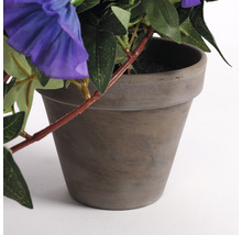 Floare artificială, petunie curgătoare, violet-thumb-2