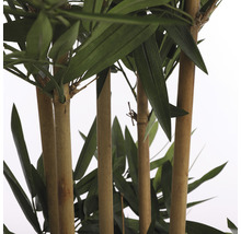 Plantă artificială, bambus, înălțime 150 cm, verde-thumb-4