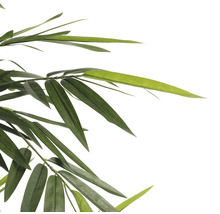 Plantă artificială, bambus, înălțime 150 cm, verde-thumb-5