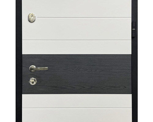 Ușă de intrare modernă cu mâner și încuietoare