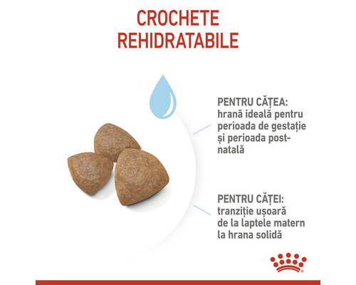 Crochete de hrana pentru caini pentru rehidratare