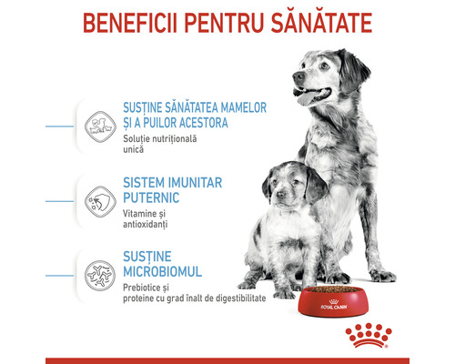 Ilustrație a beneficiilor pentru sănătate ale hranei pentru câini Royal Canin pentru mame și căței.