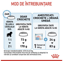 Recomandări de hrănire pentru hrana câinilor cu indicații de cantitate