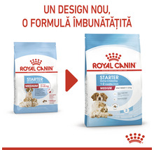 Royal Canin Starter Medium hrană pentru câini mamă și pui, 11 până la 25 kilograme