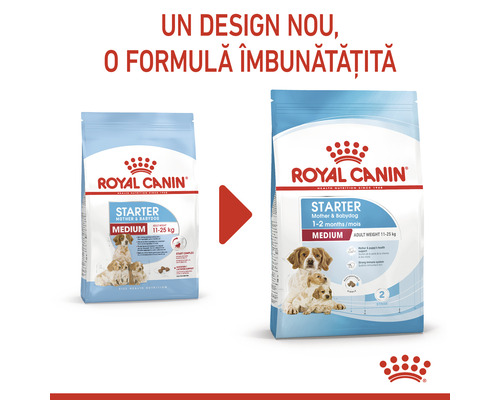 Royal Canin Starter Medium hrană pentru câini mamă și pui, 11 până la 25 kilograme