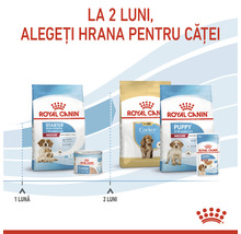 Hrană pentru căței Royal Canin pentru diferite vârste