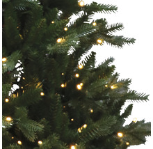 Prim-plan cu un pom de Crăciun verde cu iluminare.