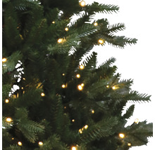 Prim-plan cu un pom de Crăciun împodobit cu luminițe.