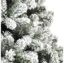 Prim-plan cu un pom de Crăciun înzăpezit.