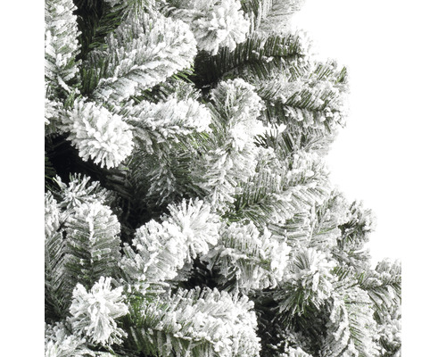 Prim-plan cu un pom de Crăciun înzăpezit.