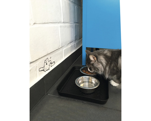 Pisica mănâncă lângă un castron cu apă pe o tăviță.